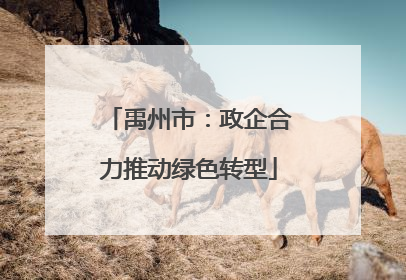 禹州市：政企合力推动绿色转型