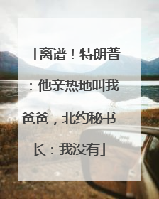 离谱！特朗普：他亲热地叫我爸爸，北约秘书长：我没有