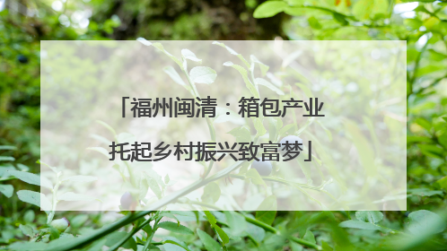 福州闽清：箱包产业托起乡村振兴致富梦