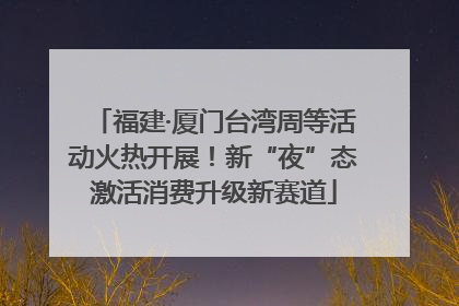 福建·厦门台湾周等活动火热开展！新“夜”态激活消费升级新赛道