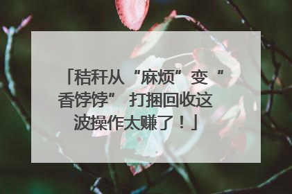秸秆从“麻烦”变“香饽饽” 打捆回收这波操作太赚了！
