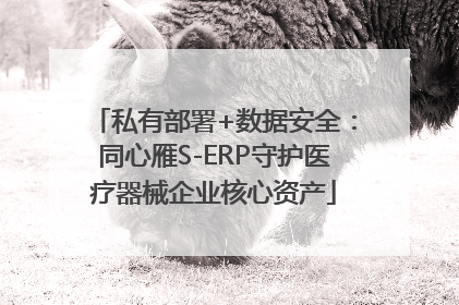 私有部署+数据安全：同心雁S-ERP守护医疗器械企业核心资产