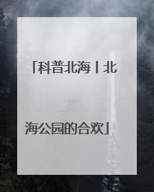 科普北海丨北海公园的合欢