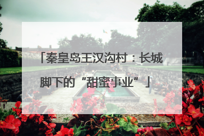 秦皇岛王汉沟村：长城脚下的“甜蜜事业”