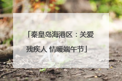 秦皇岛海港区：关爱残疾人 情暖端午节