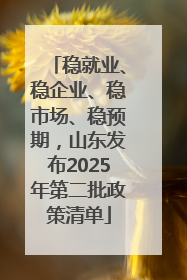 稳就业、稳企业、稳市场、稳预期，山东发布2025年第二批政策清单