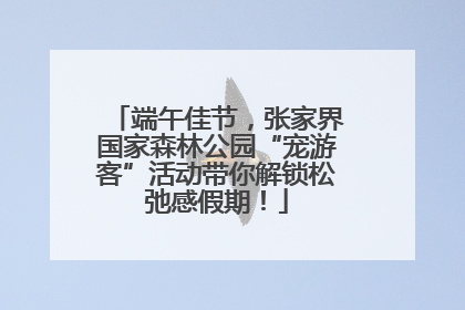 端午佳节，张家界国家森林公园“宠游客”活动带你解锁松弛感假期！