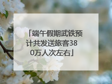 端午假期武铁预计共发送旅客380万人次左右