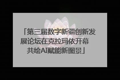 第三届数字新疆创新发展论坛在克拉玛依开幕 共绘AI赋能新图景