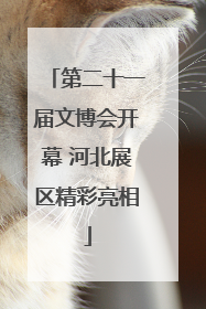 第二十一届文博会开幕 河北展区精彩亮相