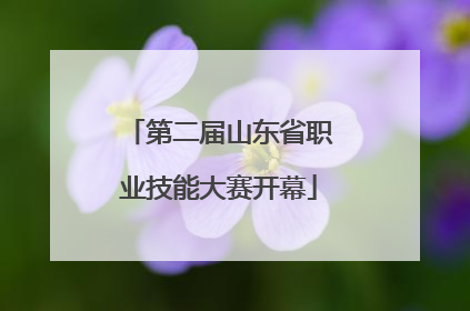 第二届山东省职业技能大赛开幕