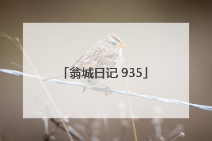 翁城日记 935
