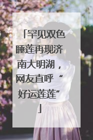 罕见双色睡莲再现济南大明湖，网友直呼“好运莲莲”