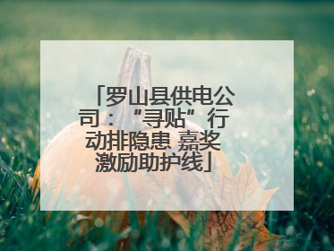 罗山县供电公司：“寻贴”行动排隐患 嘉奖激励助护线