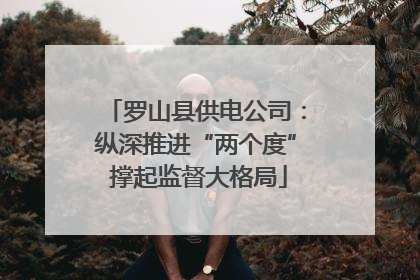 罗山县供电公司：纵深推进“两个度” 撑起监督大格局