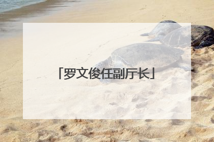 罗文俊任副厅长