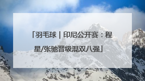 羽毛球｜印尼公开赛：程星/张驰晋级混双八强
