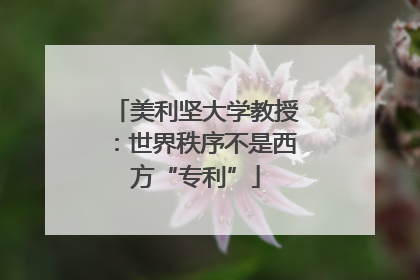 美利坚大学教授：世界秩序不是西方“专利”