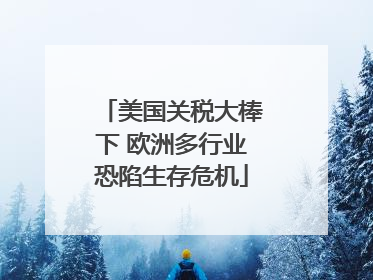 美国关税大棒下 欧洲多行业恐陷生存危机