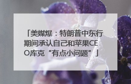美媒爆：特朗普中东行期间承认自己和苹果CEO库克“有点小问题”