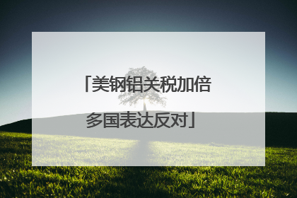 美钢铝关税加倍 多国表达反对