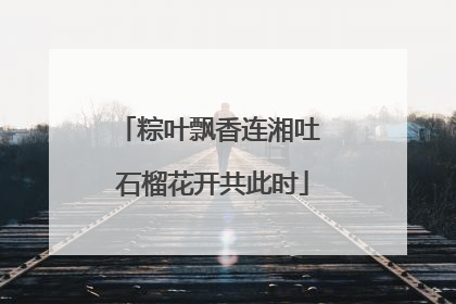 粽叶飘香连湘吐 石榴花开共此时