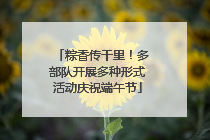 粽香传千里！多部队开展多种形式活动庆祝端午节