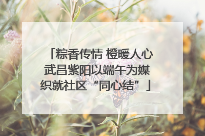 粽香传情 橙暖人心 武昌紫阳以端午为媒织就社区“同心结”