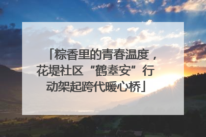 粽香里的青春温度，花堤社区“鹤耋安”行动架起跨代暖心桥