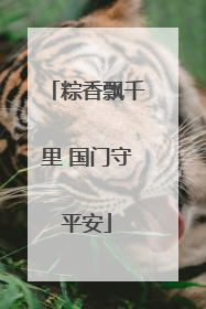 粽香飘千里 国门守平安