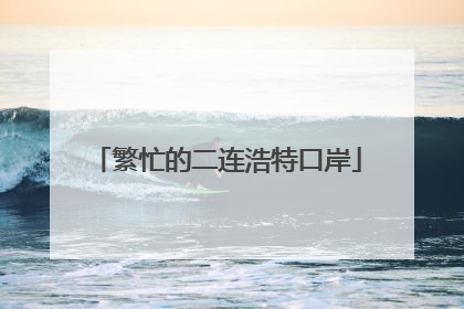 繁忙的二连浩特口岸