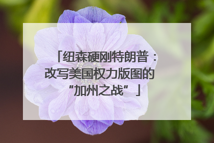 纽森硬刚特朗普：改写美国权力版图的 “加州之战”