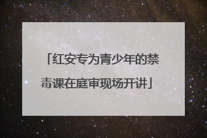 红安专为青少年的禁毒课在庭审现场开讲