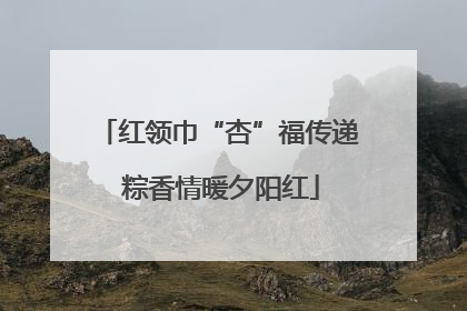 红领巾“杏”福传递 粽香情暖夕阳红