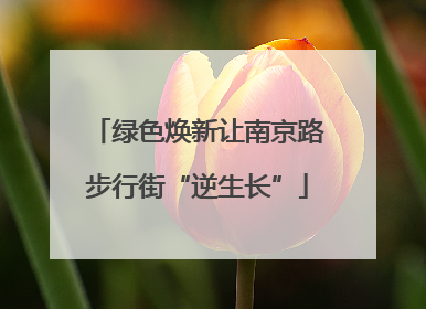 绿色焕新让南京路步行街“逆生长”