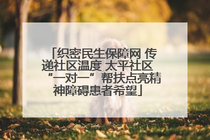 织密民生保障网 传递社区温度 太平社区“一对一”帮扶点亮精神障碍患者希望