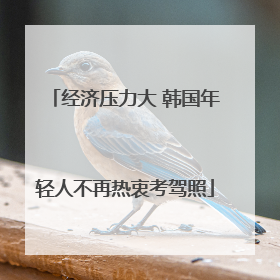 经济压力大 韩国年轻人不再热衷考驾照