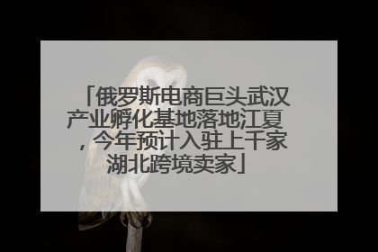 俄罗斯电商巨头武汉产业孵化基地落地江夏，今年预计入驻上千家湖北跨境卖家