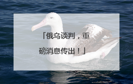 俄乌谈判，重磅消息传出！