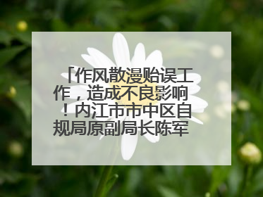 作风散漫贻误工作，造成不良影响！内江市市中区自规局原副局长陈军被“双开”