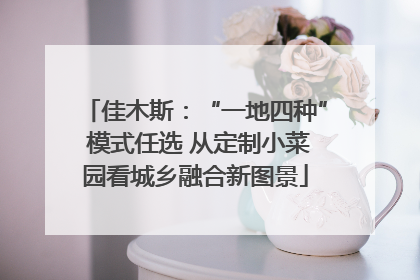 佳木斯：“一地四种” 模式任选 从定制小菜园看城乡融合新图景