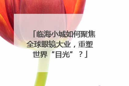 临海小城如何聚焦全球眼镜大业，重塑世界“目光”？