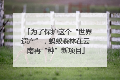 为了保护这个“世界遗产”，蚂蚁森林在云南再“种”新项目