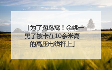 为了掏鸟窝！余姚一男子被卡在10余米高的高压电线杆上