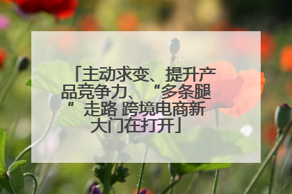 主动求变、提升产品竞争力、“多条腿”走路 跨境电商新大门在打开