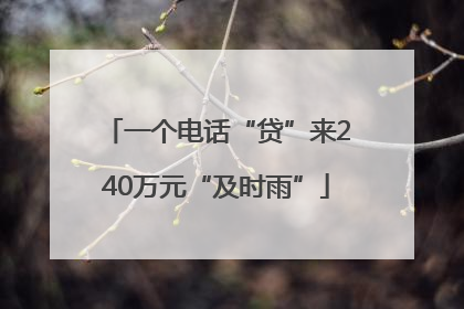 一个电话“贷”来240万元“及时雨”