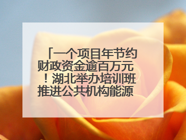 一个项目年节约财政资金逾百万元！湖北举办培训班推进公共机构能源费用托管工作