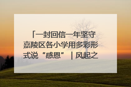 一封回信一年坚守 嘉陵区各小学用多彩形式说“感恩”｜风起之江 扶摇直上