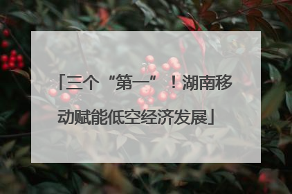 三个“第一”！湖南移动赋能低空经济发展