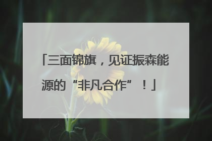 三面锦旗，见证振森能源的“非凡合作”！